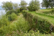 03-castilloniebla