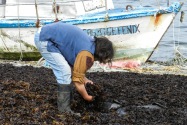 47-chiloe