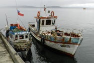 48-chiloe