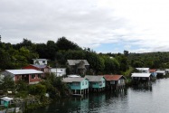 50-chiloe