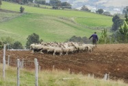 57-chiloe