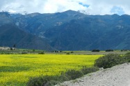 60-colcavalley