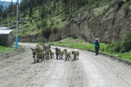 62-colcavalley