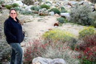 Anza-Borrego Desert SP, CA