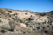 Anza-Borrego Desert SP, CA