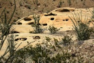 Anza-Borrego Desert SP, CA