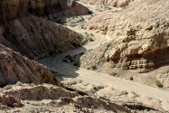 Anza-Borrego Desert SP, CA