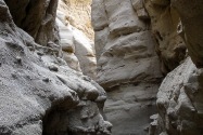 Anza-Borrego Desert SP, CA