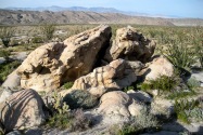 Anza-Borrego Desert SP, CA