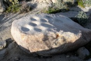 Anza-Borrego Desert SP, CA