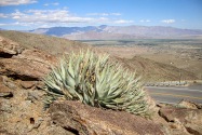 Anza-Borrego Desert SP, CA