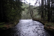Silver Falls SP, OR
