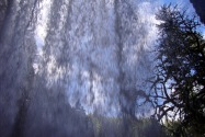 Silver Falls SP, OR