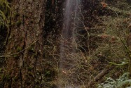 Silver Falls SP, OR