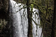 Silver Falls SP, OR