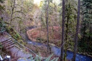 Silver Falls SP, OR