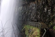 Silver Falls SP, OR