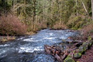 Silver Falls SP, OR