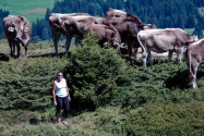 023-lenzerheide
