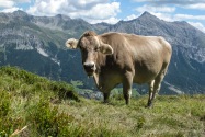 024-lenzerheide