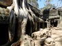 Ta Prohm