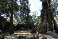 02-taprohm