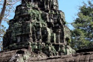 05-taprohm