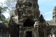 11-taprohm