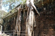 13-taprohm