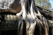 14-taprohm