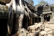 15-taprohm