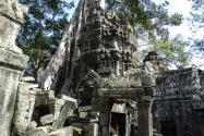 17-taprohm