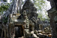 20-taprohm