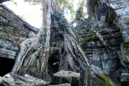 21-taprohm