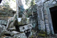 22-taprohm