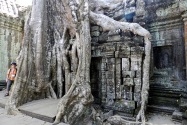 23-taprohm