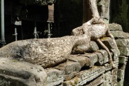 24-taprohm