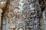 28-taprohm