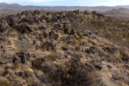 Three Rivers Petroglyph, NM