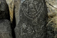 Three Rivers Petroglyph, NM