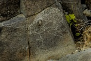 Three Rivers Petroglyph, NM