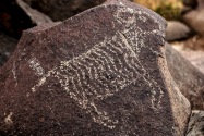 Three Rivers Petroglyph, NM