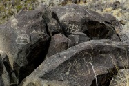 Three Rivers Petroglyph, NM