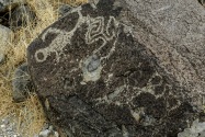 Three Rivers Petroglyph, NM