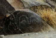 Three Rivers Petroglyph, NM