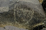 Three Rivers Petroglyph, NM