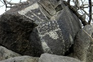 Three Rivers Petroglyph, NM