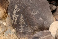 Three Rivers Petroglyph, NM