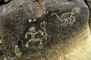 Three Rivers Petroglyph, NM
