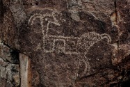 Three Rivers Petroglyph, NM